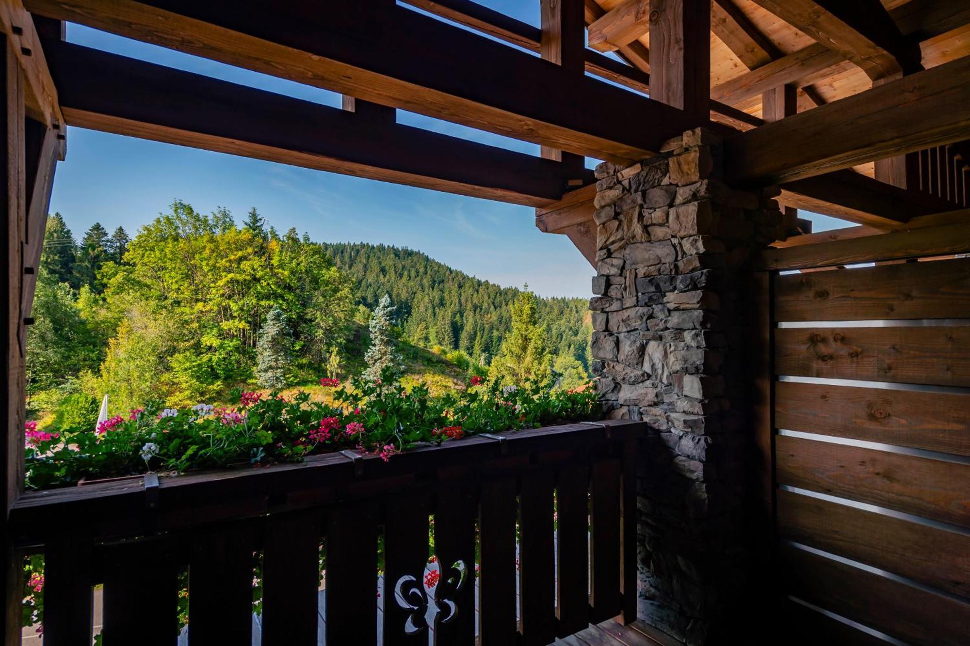 Les Bas-Rupts Hotel Gérardmer Buitenkant foto
